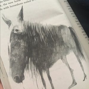 Meet your Posher, Mark